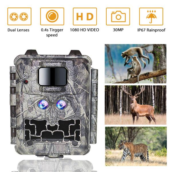 Buy cheap KW591 wildlife camera no-glow dual sensors 1080P waterproof IP67 0.4s trigger speed up to 512GB storage Hunting Camera from wholesalers