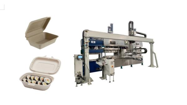 Automatic Pulp Molding Fiber Nature Color Salad Box Production Line With Robot