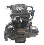 250CC DAYANG Motorcycle Engine Single Cylinder 4 Stroke Wolf Water-Cooled Cold