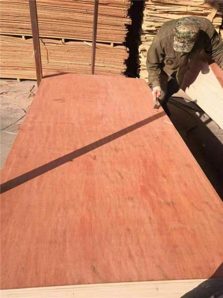 Buy cheap Anti Acid BB Grade 1250x2500mm Bintangor Plywood from wholesalers
