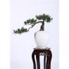 Buy cheap Podocarpus Artificial Pine Trees Outdoor Premium Grade Artificial Foliage Hand Made from wholesalers