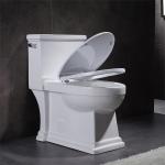 Ceramic Ada One Piece Skirted Toilet Washroom Water Closet Compact Elongated