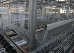 China Several Tiers Poultry Farm Feeding System High Elasticity Reduce  Deformation on sale