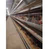 Buy cheap H Type Layer Chicken Cage Automatic Poultry Equipment Battery Cage For Layer Chicken from wholesalers