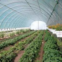 Buy cheap Single Span Plastic PE Film Agricultural Tunnel Greenhouse With Drip Irrigation product