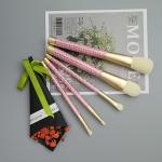 Premium Cosmetic Makeup Brush Set 5PCS Soft Synthetic Hair For Powder Blush