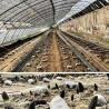 Buy cheap Package Gross Weight 100.000kg Sunlight Greenhouse Drip Irrigation for Flower Planting from wholesalers