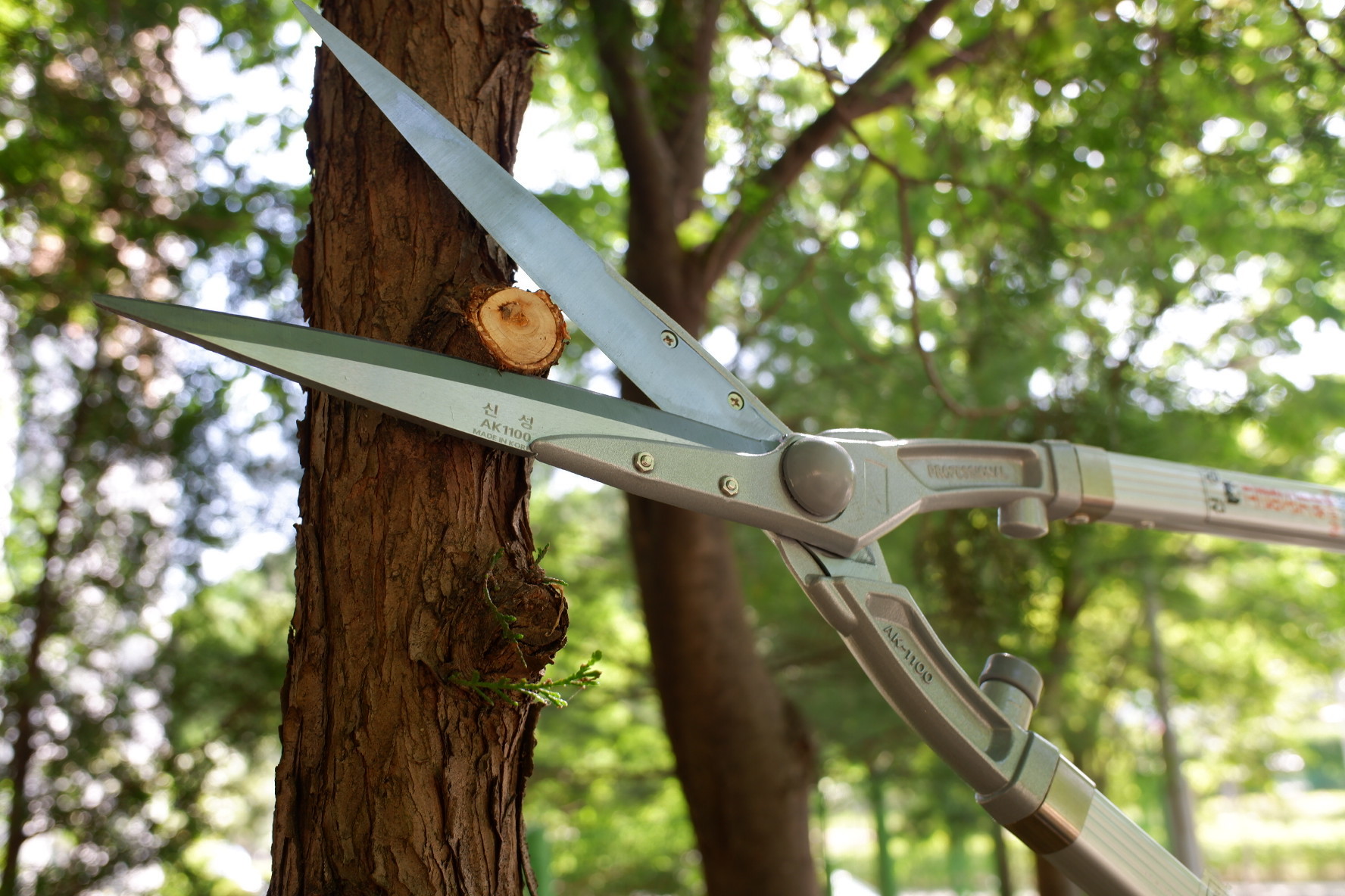 SINSEUNG AK1100 Rose Handle Plant Cutting Scissors Extendable Lever Hedge Shears Yard