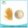 Buy cheap Wheat Protein / Wheat Gluten Extract Powder Protein 80% from wholesalers