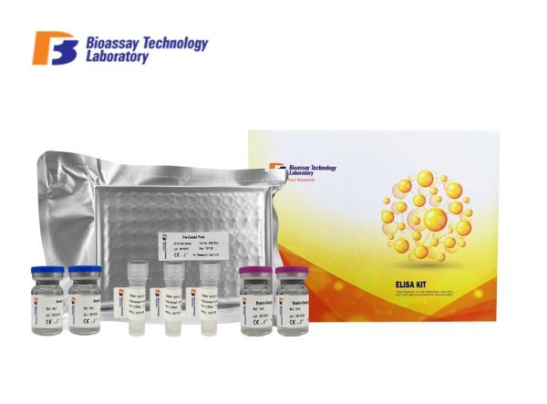 SP Sandwich Canine ELISA Kits High Specificity Canine Substance P With Oem