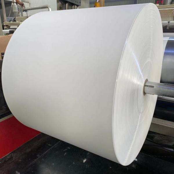 Buy cheap Folding Resistance PE Coated Paper Roll Waterproof For Beverage Cup from wholesalers