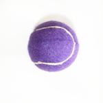 2.5'' Squeaky Ball Dog Toys