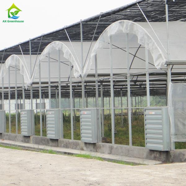 Buy cheap Commercial Poly Tunnel Plastic PE Film UV Resistant Greenhouse For Tropical Climate from wholesalers