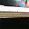 Buy cheap Poplar Wood BB CC Grade E2 Glue Faced Plywood from wholesalers