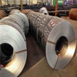 X39Cr13 1.4031 Stainless Spring Steel Strip