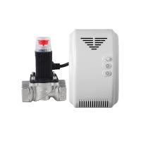 Buy cheap 220V AC CH4 Gas Detector 50 / 60Hz Intelligent Protection Of Family Safety product