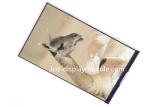 107.64 * 172.224mm Active MIPI TFT LCD Screen 300nits For Fuel Dispensers 720 x