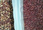 6 Chute Cereal Color Sorter For Sorghum Buckwheat Millet