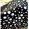Buy cheap Polka Dot PU Faux Leather Soft Brush Bottom Polyurethane Fabric Leather from wholesalers