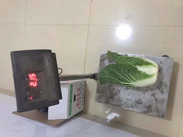 Buy cheap Delicious Bright Fresh Green Cabbage No Rotten Signs Fiber Shin 2.5kg / Per from wholesalers