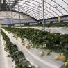 Buy cheap JX-A00162 Innovative Agriculture Arches Tunnel Greenhouse Kit Estimated Delivery Time from wholesalers