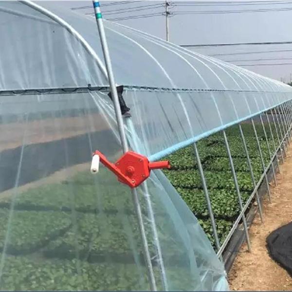 Buy cheap Agriculture Single Tunnel Plastic Film Greenhouse for Strawberry Planting Growing from wholesalers
