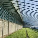 Package Gross Weight 100.000kg Hydroponic Strawberry Flower Greenhouse with Film