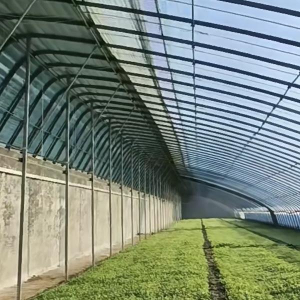 Vegetable Film Flower Planting Greenhouse with Drip Irrigation and Plastic Sheet
