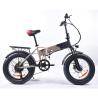 Buy cheap Emissionfree Folding Electric Mountain Bike 750w With 20 Inch Fat Tires from wholesalers