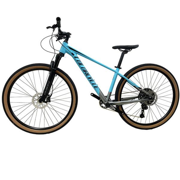 Alloy Cassette 29 Inch Mountain Bike with Hydraulic Disc Brake and Aluminum