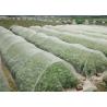 Buy cheap 50X35 Plastic Wire Mesh 100g/M2 Anti Insect Net For Greenhouse from wholesalers