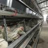 Buy cheap Saudi Arabia H Type Automatic Battery Chicken Cage System Indonesia Poultry Farming Equipment from wholesalers
