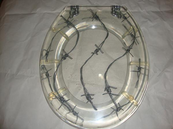 Buy cheap steel wire and knife resin toilet seat,17'18'19'Uropean standard,USA stardard from wholesalers