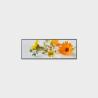 Buy cheap 50.4 inch Bar Type LCD Display 3840*1334 V-by-One 500nits from wholesalers