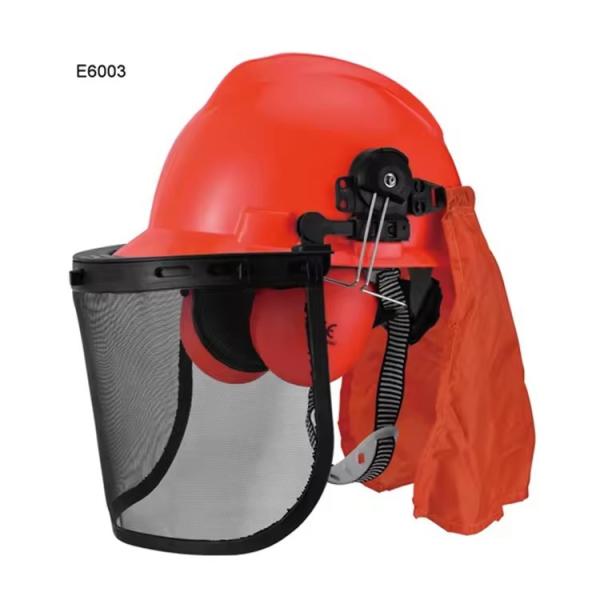 Buy cheap Professional Factory Full Face Protection Safety Mesh Industrial Safety Helmet With Face Shield And Earmuff from wholesalers