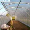 Buy cheap Agricultural Plastic Film Greenhouse Large Size High Latitude Area Ecological from wholesalers