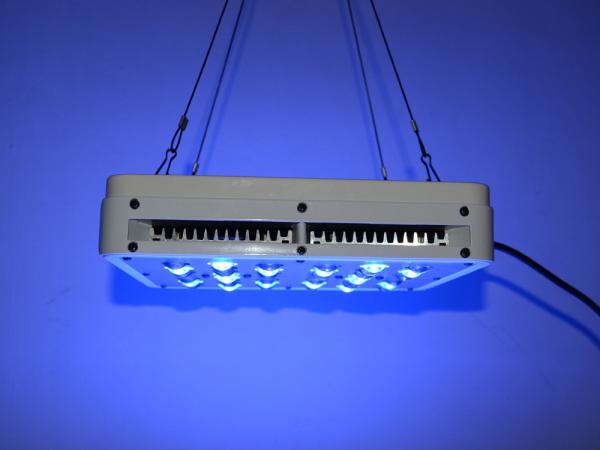 Buy cheap 200W COB GROW indoor LED plant grow light Indoor Aquaponics Grow Lights hydroponics system from wholesalers