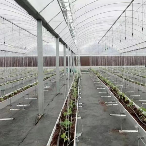 Buy cheap JX-A0045 Trademarked Hydroponic Drip Irrigation Greenhouse within Initial Payment from wholesalers