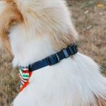 Colorful Blank Dog Bandanas Bib Kerchief Adjustable Cat Collar