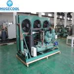 Blue Fin Condensing Unit For Freezer Room