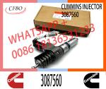 N14 Series Engine Common Rail Fuel Injector 4307516 3411691 3087560 3411765 For