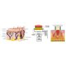 Buy cheap Newest SHR Two Handles Hair Removal IPL SHR Hair Removal Laser from wholesalers