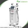 Buy cheap 2016freezing fat cryolipolysis machine weight loss beauty salon equipment from wholesalers