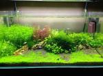 Strong Magnetic Fish Tank Scraper For Glass Tanks