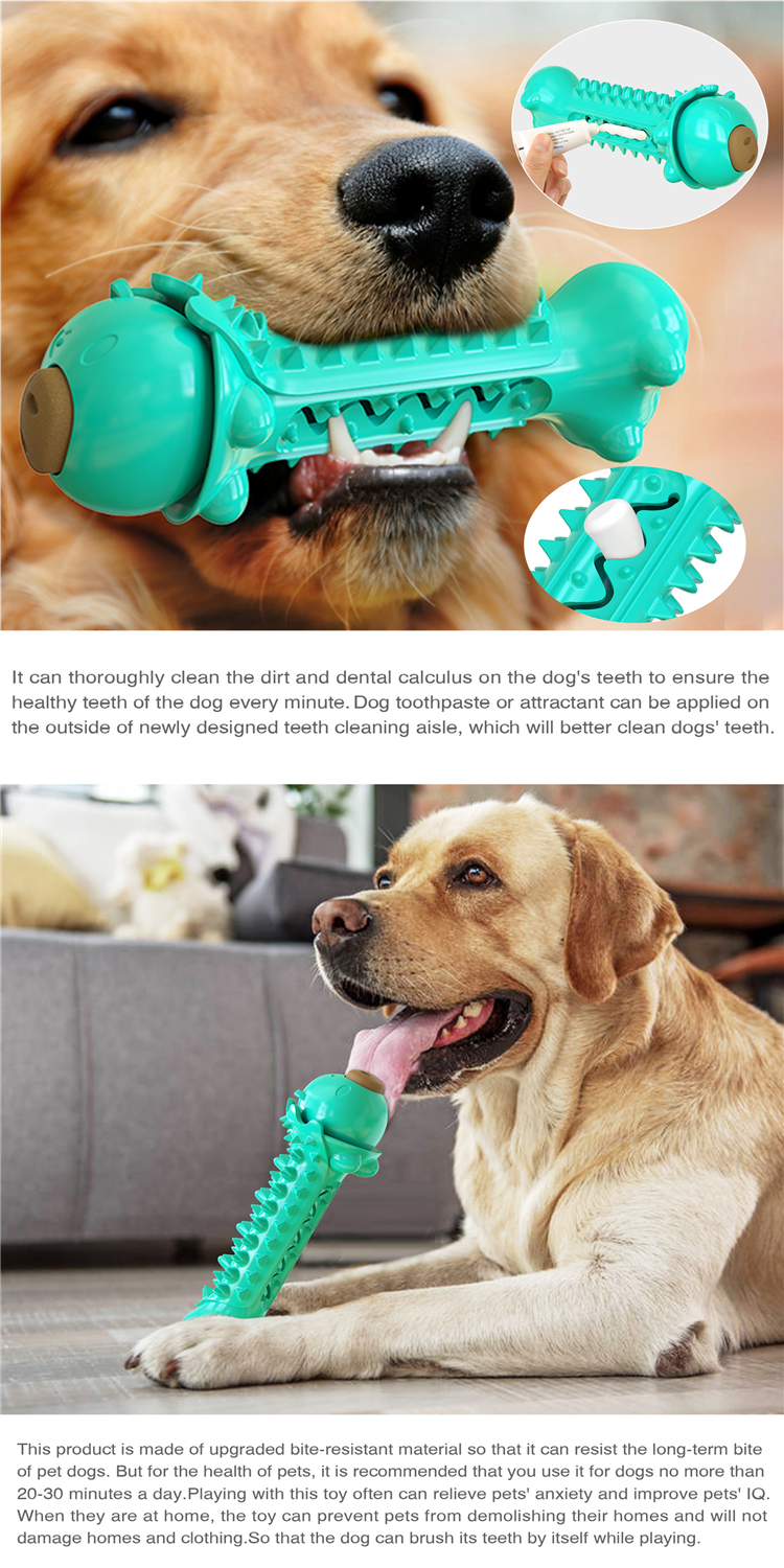 Wholesale High Quality Multifunction Pet Molar Bite Toy Snack Molar Stick