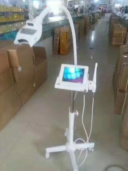 Quality Teeth Led Whitening Lamp / Teeth Care Led Light for sale