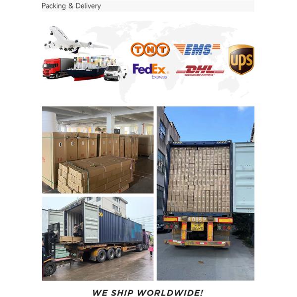 6x4ft Knocked-down Structure Backyard Storage Shed Double Swing Door Outdoor Storage Shed