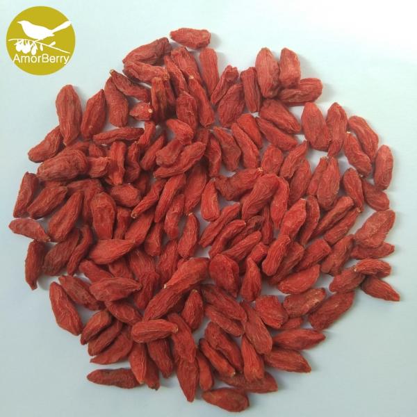 Quality Amorberry Goji Berry/Wolfberry/Lycium Barbarum Medlar wholesale with high quantity from Ningxia factory for sale