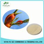 Reliable Manufacturer Supply Hot Products for Gardenia Jasminoides Ellis