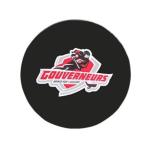 Non Toxic 76x25MM Ice Hockey Puck Silicone Rubber Toys